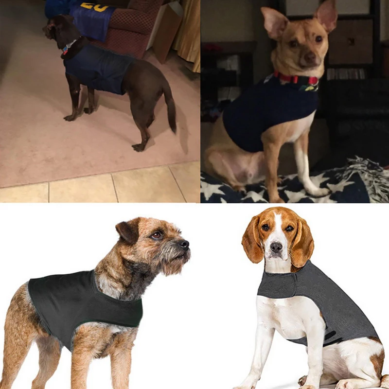 Hoomall 1 шт. одежда для домашних животных душевного аппетита собак тревога
