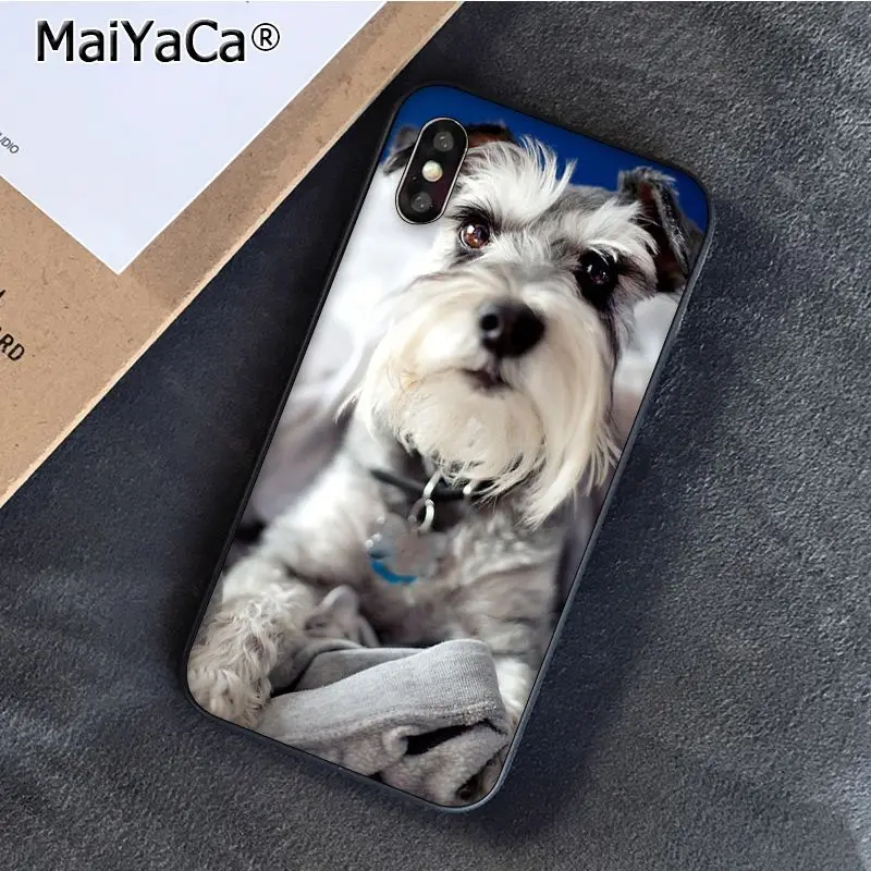 Чехол для телефона с изображением щенка шнауцера iphone 12 11 pro MAX 8 7 6 6S Plus X XS 5