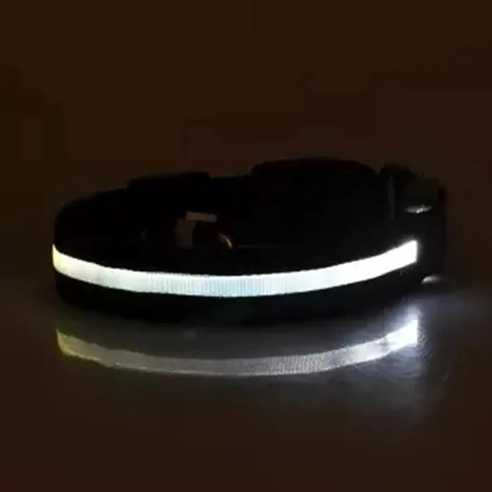 White LED Pet Cat Dog Collar Night Safety Luminous Necklaces For Outdoor Walking - Цвет: White