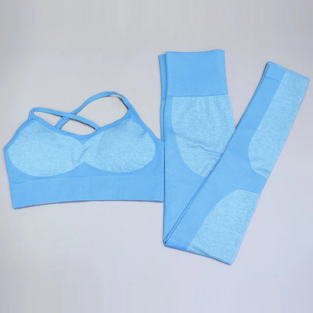 Blue 2Pcs set 2 шт./компл., бесшовный комплект для йоги, женский спортивный бюстгальтер для фитнеса, топы+ с высокой талией, из лоскутов, леггинсы для тренировок, спортивные штаны, спортивный костюм - Цвет: Blue 2Pcs set
