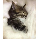 Полноразмерная картина из страз5D сделай сам, вышивка крестиком, спящий Кот, 3D Алмазная картина, круглые стразы, картины, вышивка H643