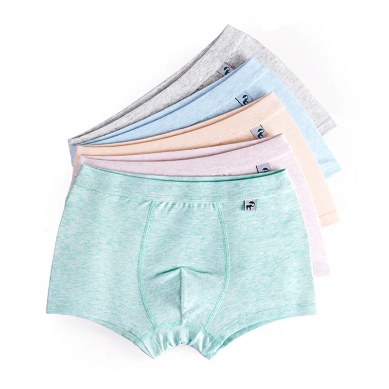 2 шт нижнее белье для мальчиков Нижнее детей с рисунком из мультфильма трусы