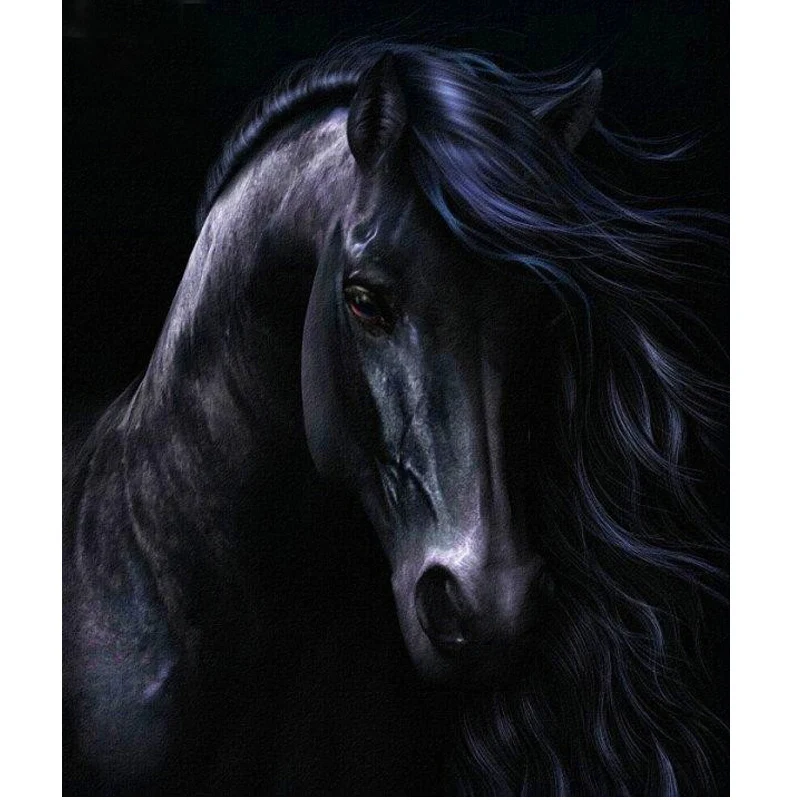 

5d Diy Square Diamond Painting Black horse Handicraft Needlework Embroidery Resinstone Diamond Cross Stitch Mosaic Decoration