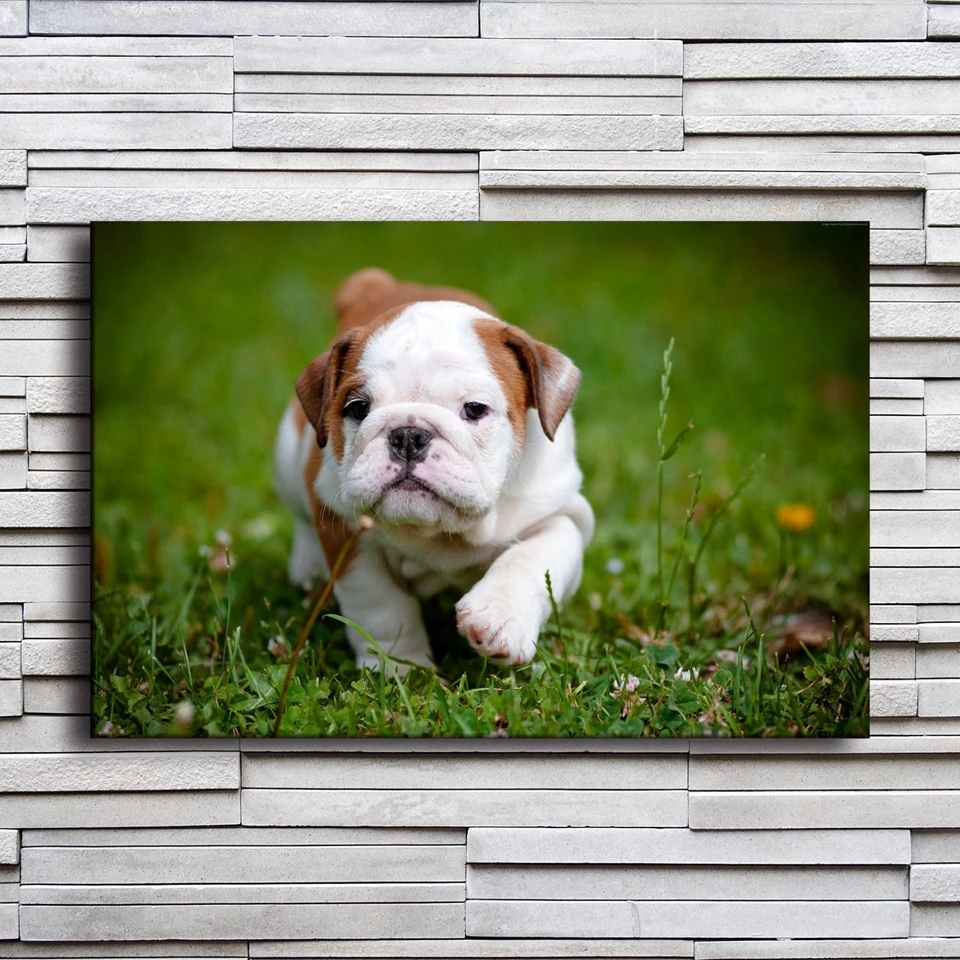 Wall Art Печать холст фотографии коридор цельнокроеное платье милый защитный чехол