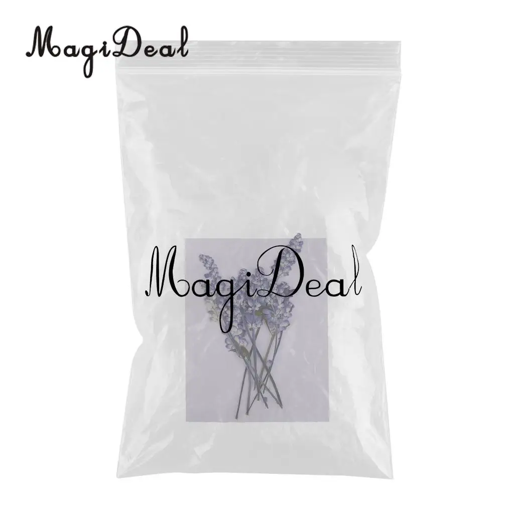 MagiDeal 10 шт. красивый прессованный цветок шалфея сушеные цветы для художественного ремесла Скрапбукинг эпоксидная смола Изготовление ювелирных изделий DIY украшения