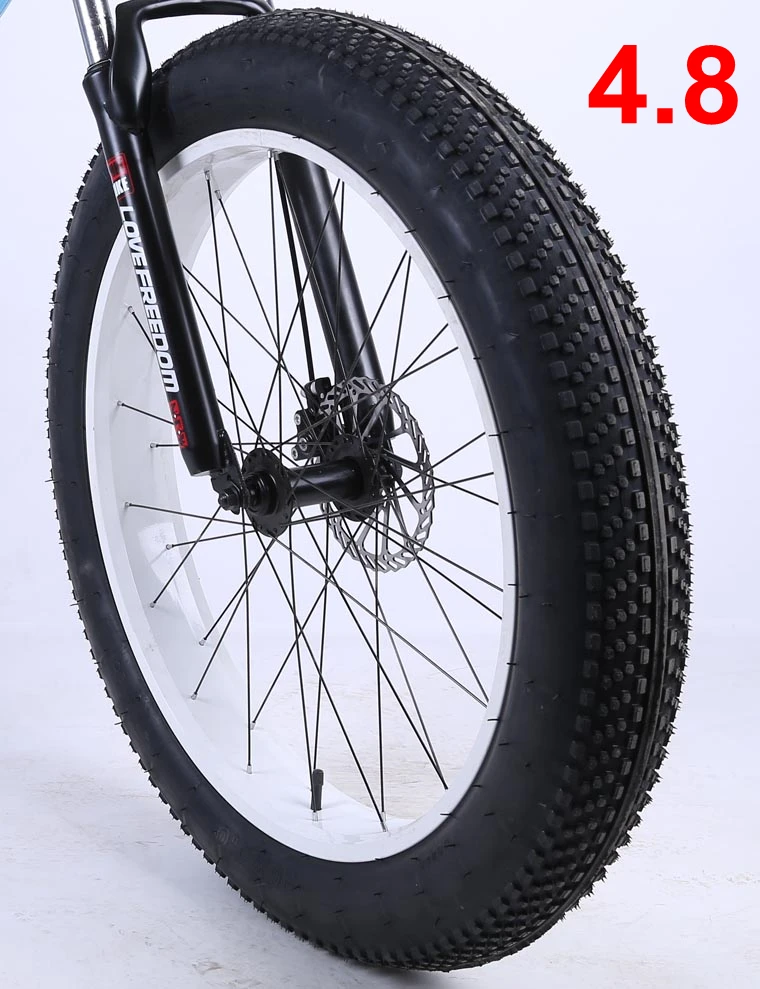 4.8 Size B WH26 26 дюймов колесо для велосипеда на толстых покрышках с внутренними и внешними шинами, без передней вилки - Цвет: 4.8 Size B WH26
