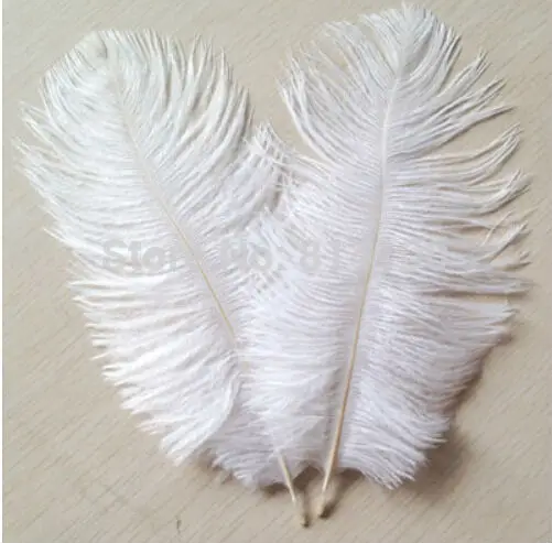 

100pcs/lot 6-8 inch 15-20cm white ostrich feathers for wedding decor craft