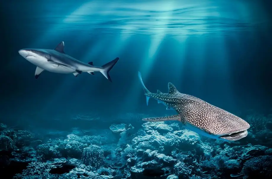 Современная наклейка 3D Пол подводный мир дельфин напольное покрытие из ПВХ