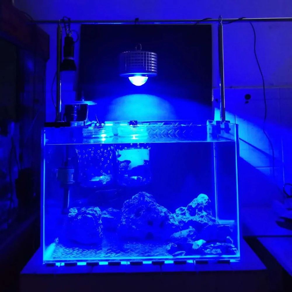 По индивидуальному заказу цвета 50 W CREE светодиодный свет для выращивания на растения на гидропонике подводный, для аквариума лампа для коралловых рифов рыб