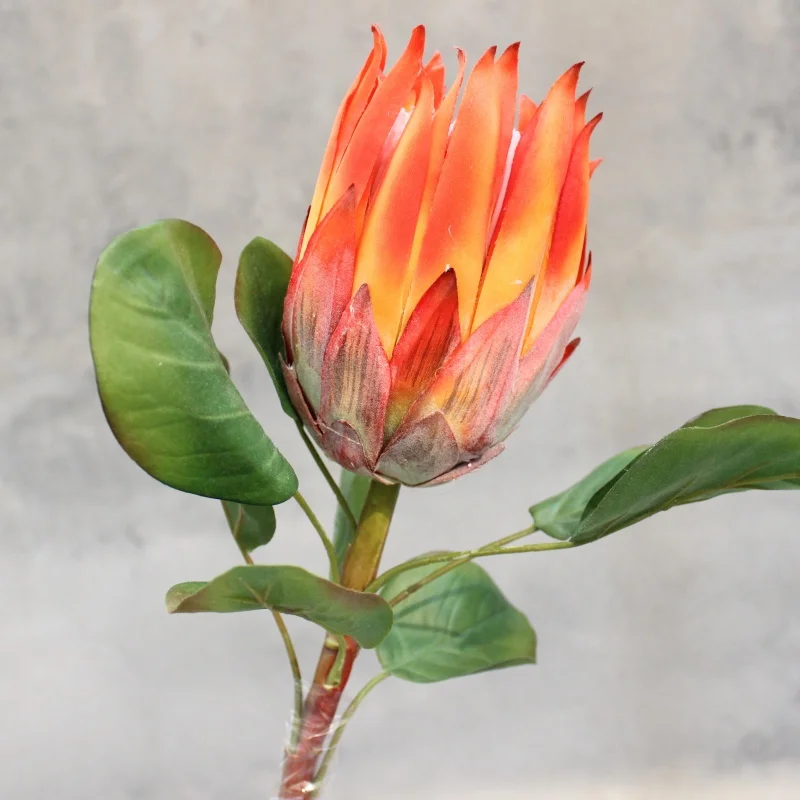 Король Protea искусственные шелковые цветы для дома декоративные вечерние