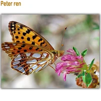 peter ren diamond painting cross stitch roundsquare diamond mosaic full embroidery with diamonds butterfly and flower