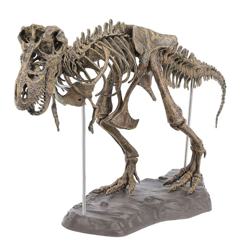 4D сборка Fossil Скелет динозавр моделирование животных модель игрушки научный