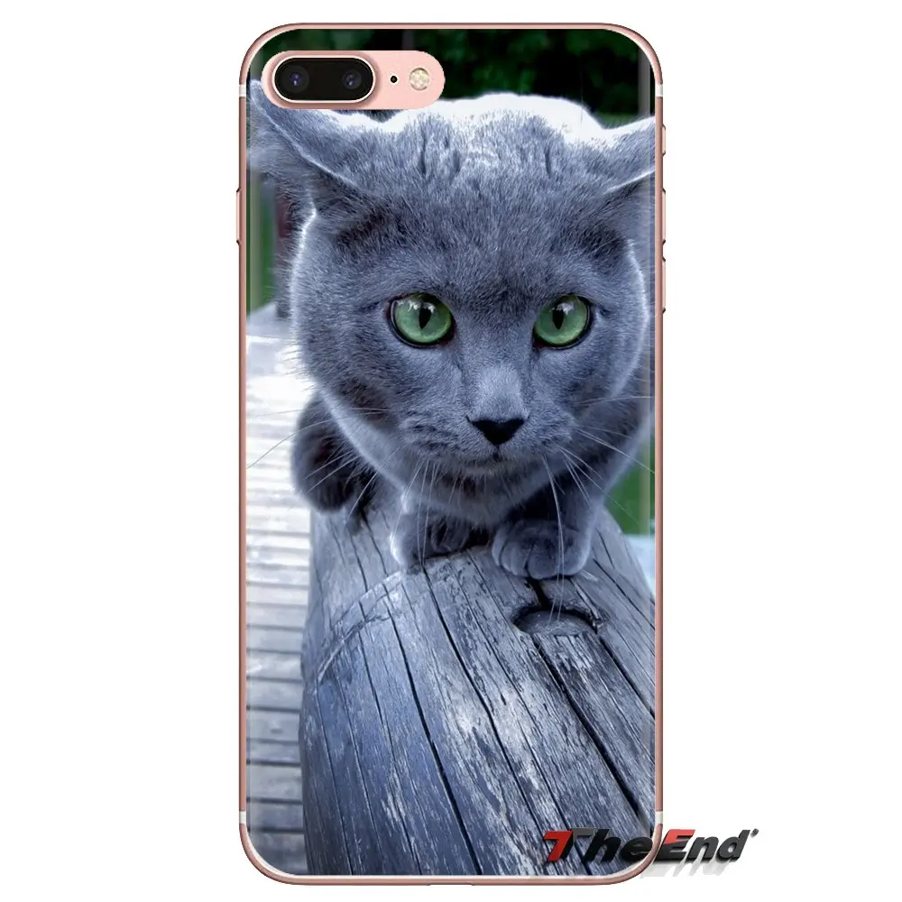 Soft TPU Phone Case pet russian blue cat green eyes For Xiaomi Mi4 Mi5 Mi5S Mi6 Mi A1 A2 5X 6X 8 9 Lite SE Pro Max Mix 2 3 2S |