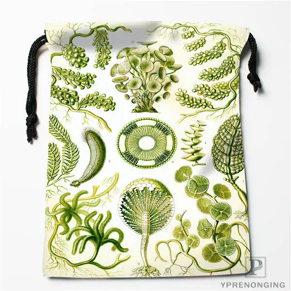 Drawstring Bags Изготовленные на заказ сумки Haeckel Narcomedusae на шнурке для путешествий, мини-сумка для плавания, походов, игрушек, размер 18x22 см#0412-04-25 - Цвет: Drawstring Bags