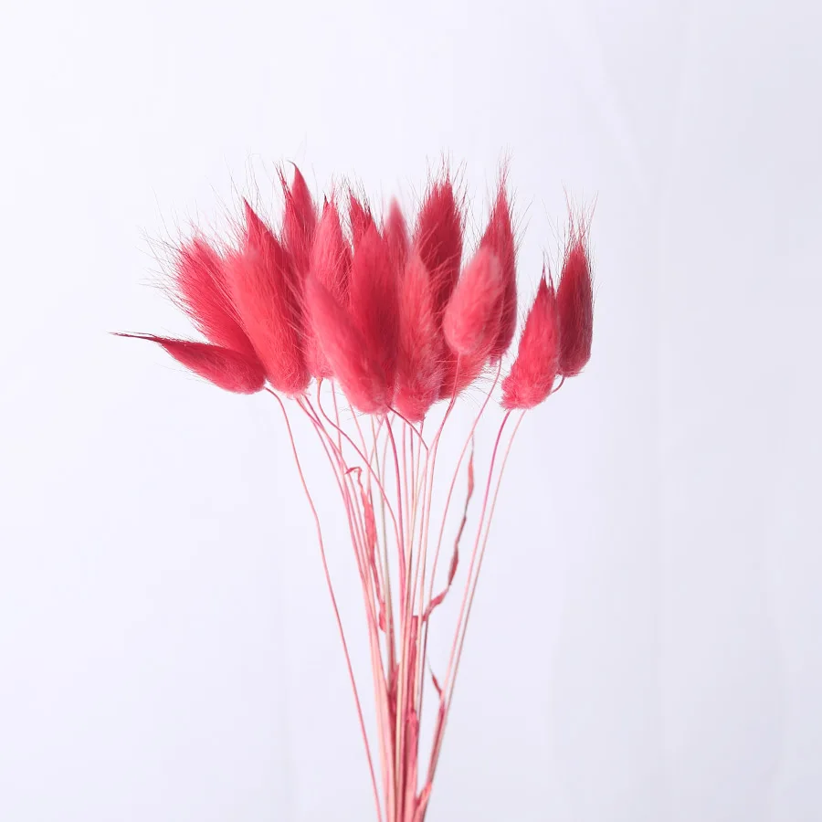 red 20 шт./партия, Натуральные сушеные цветы, искусственные окрашенные настоящие цветы, букет оватус для дома, Свадебные Декоративные искусственные цветы - Цвет: red
