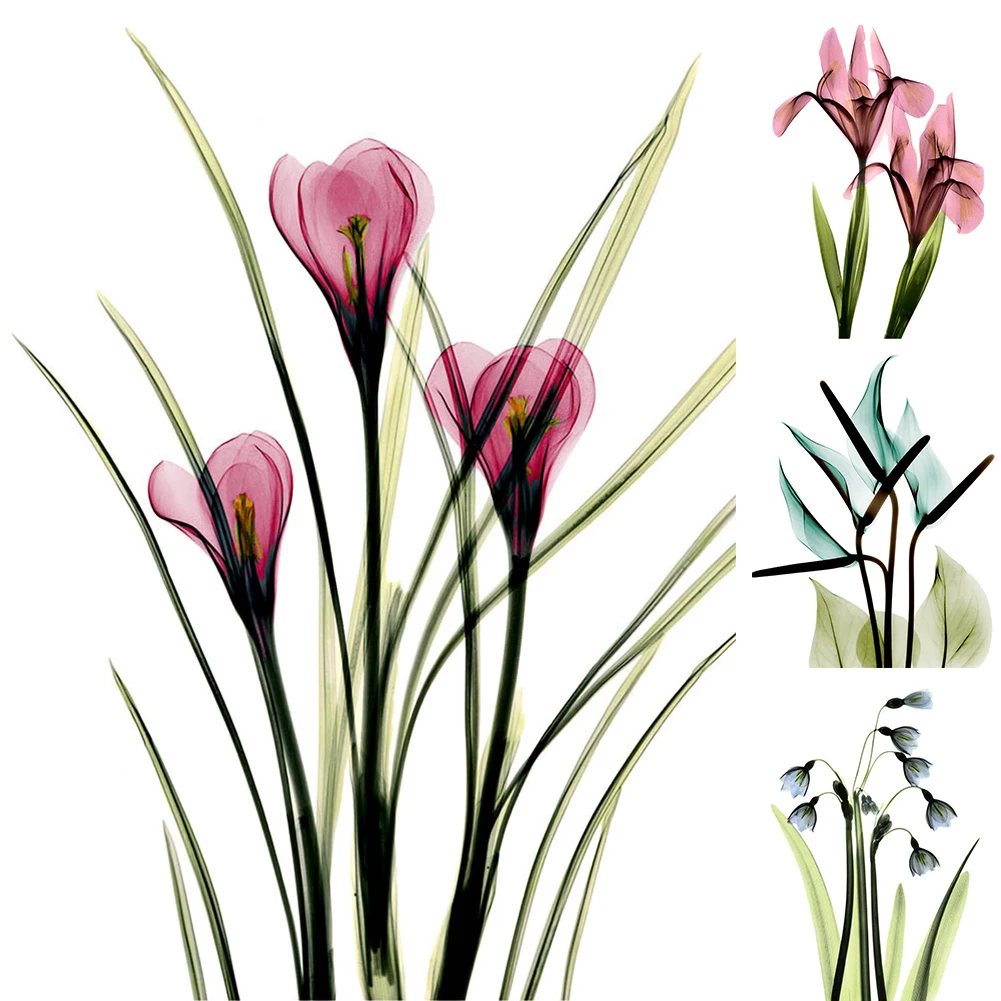 Mural Wall Picture Living Room Transparent Gift Rectangle Print Flower Art Home Decor Canvas Painting Unframed Modern Bedroom | Дом и сад