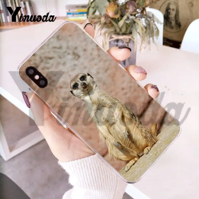 Чехол Yinuoda для iphone 7 6 X прозрачный чехол с изображением животных из серии meerkats iPhone 8