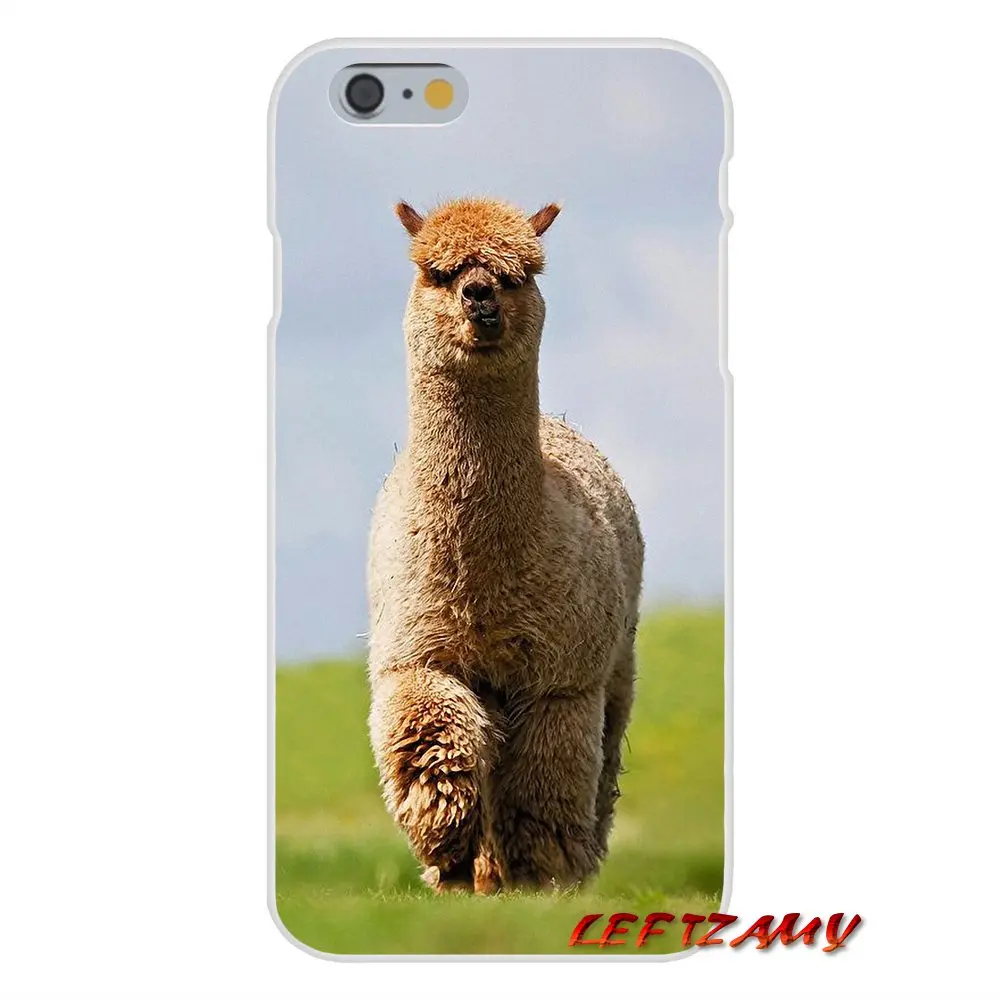 Милый мем с козлом Альпака для iPhone X XR XS MAX 4 4S 5 5S 5C SE 6 6S 7 8 Plus ipod touch Аксессуары чехлы