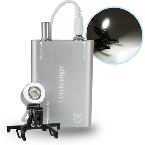 Стоматологический Портативный Серебряный светильник для стоматологической хирургической медицинской бинокулярной лупы