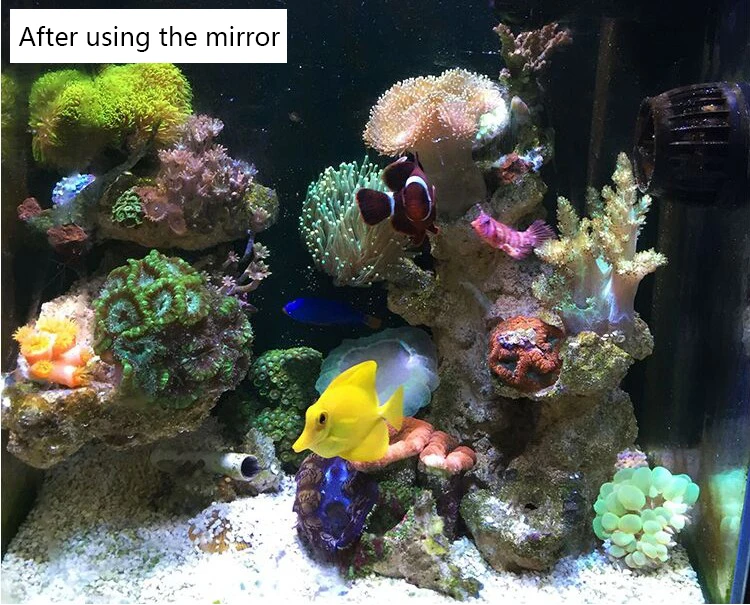 Морской коралловый цилиндрический фотообъектив морской цилиндрический фильтр три объектива с макро фильтром аквариум синий светильник
