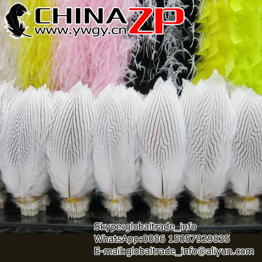

CHINAZP Factory Wholesale 500pcs/lot 25~30cm(10~12inch) Length Top Quality Bleached White Silver Pheasant Feather