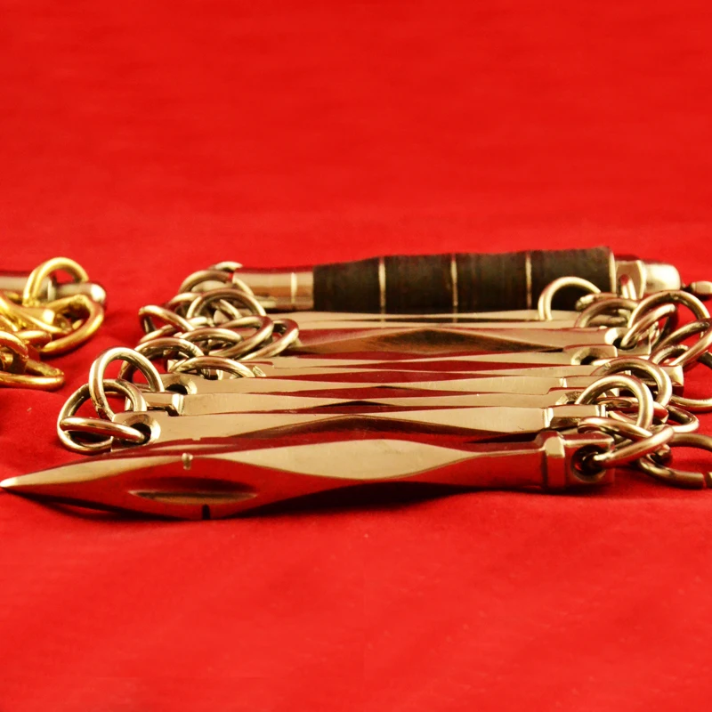 

Kung Fu Nine-section Whip High Quality Eight-sided Combat Sports Self-defense Whip Leather Non-slip Handle Nine Section Whip