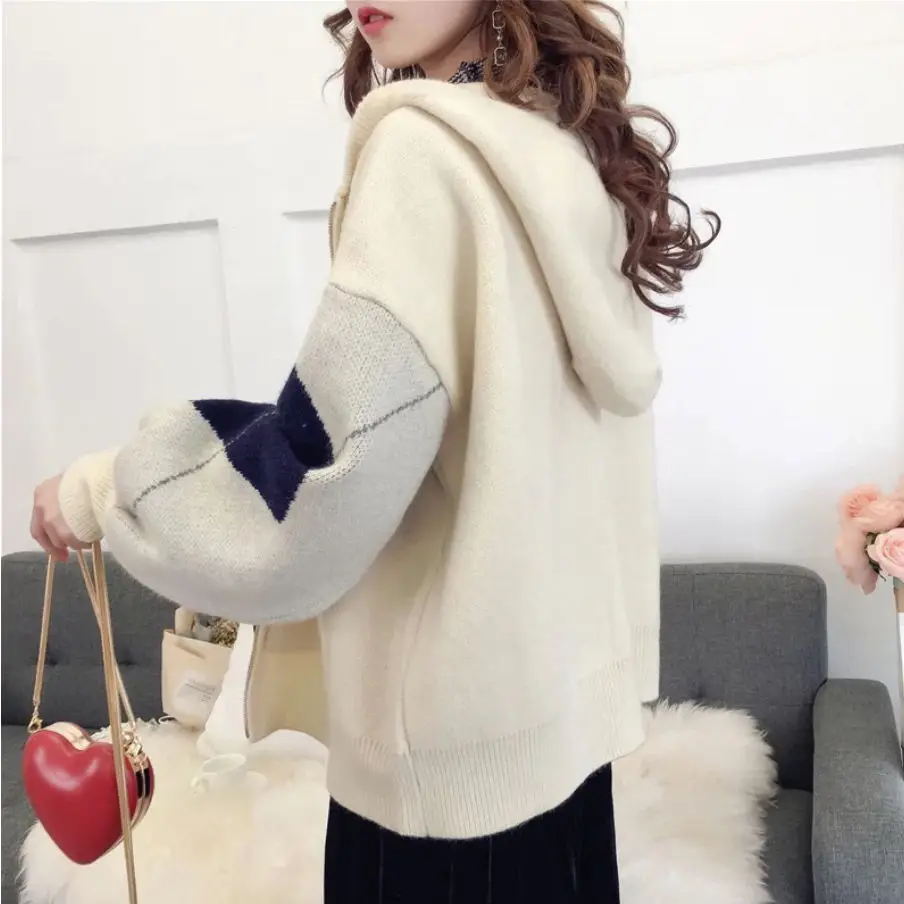 Short Thick Knit Cardigan 2019 New Loose Hooded Zipper Sweater Coat Female |