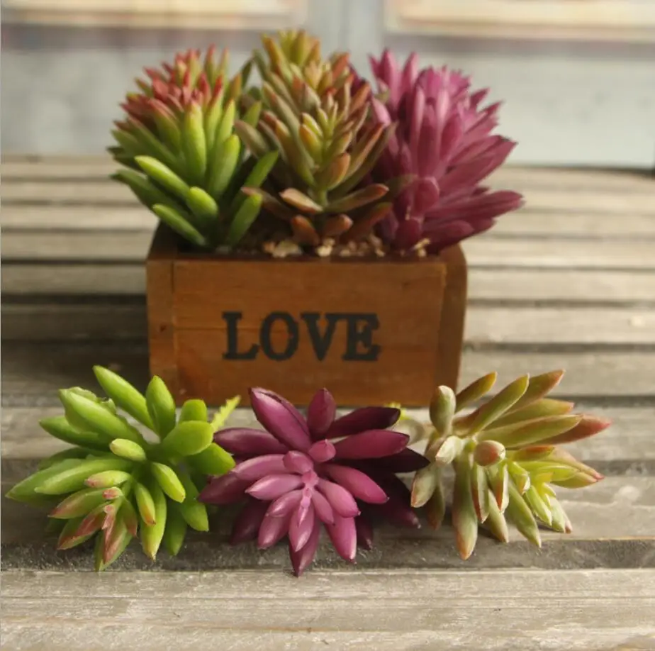 

10pcs 14cm Purple/Green Artificial Plastic Succulents Plants Flower For Wedding Party Home Office Hotel Potted Decoration