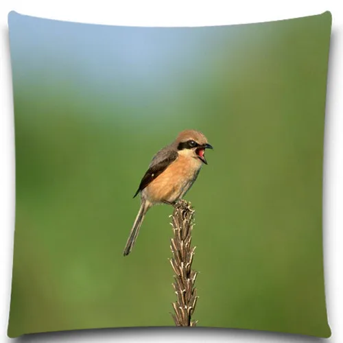 Милая птица на бревне 2D принт креативный наволочка квадратный хлопок полиэстер 5