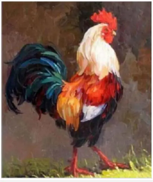 TOP Original  ART oil painting #  cock rooster  art painting on canvas -100% hand painted OIL painting-accept custom painting 18