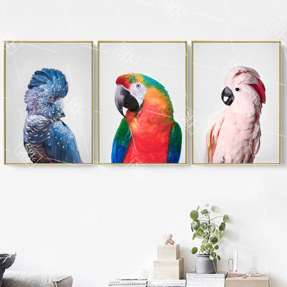 Фото Красочные Попугай Птицы Животные настенная живопись холст скандинавский стиль