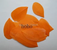 200pcslot3 6cm loose orange trimmed goose feathersfeather petalsorange featherstrimmed feathers for diy decorationjewelry