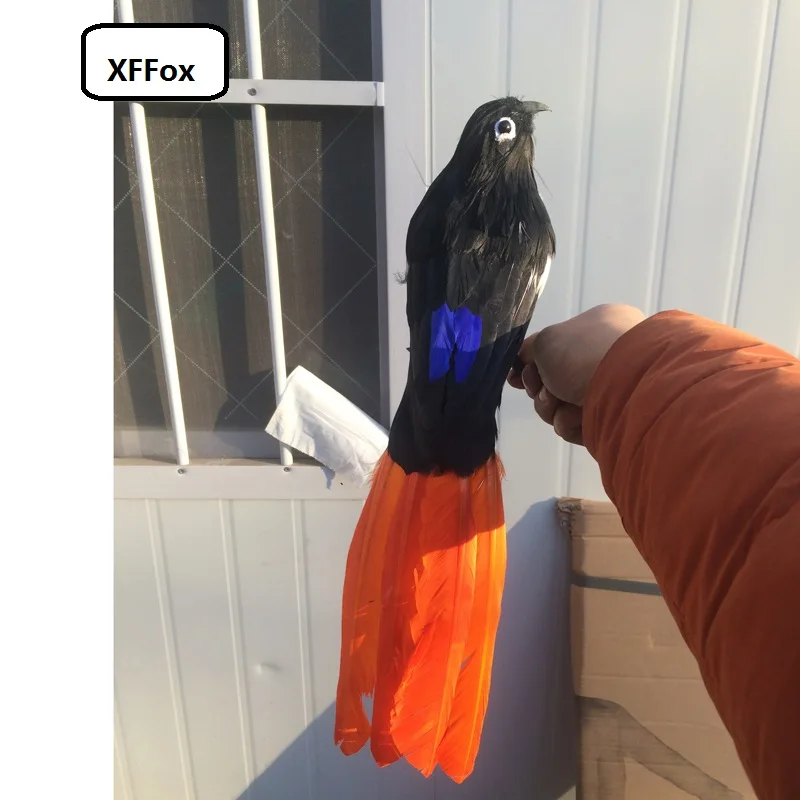 

creative simulaiton orange tail magpie model foam&feather lifelike black magpie bird toy about 30cm xf0686