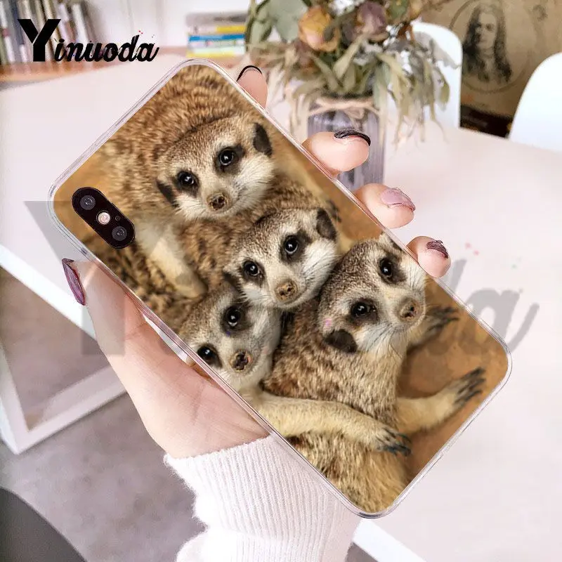 Чехол Yinuoda для iphone 7 6 X прозрачный чехол с изображением животных из серии meerkats iPhone 8