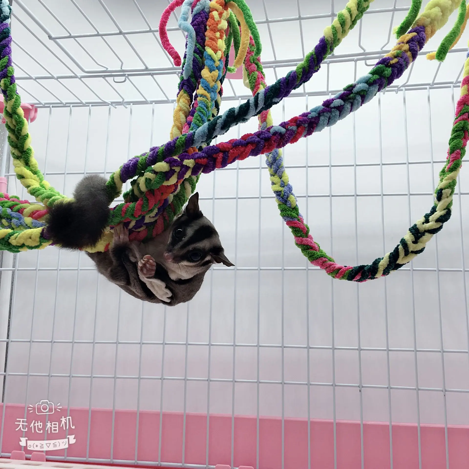 Хомяк Игрушка Приключения качели животное птица попугай красочный хлопок