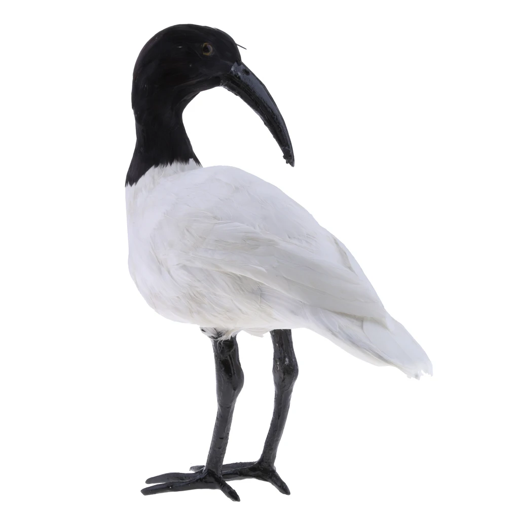 8 Black Ibis Живой искусственный Magpie, дятел, Shrike, Throstle, Павлин птица реалистичные Taxidermy украшения для дома и сада - Цвет: 8 Black Ibis