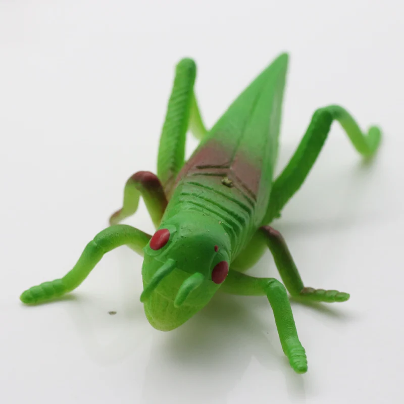 Poetryyi Saltamontes moscas de pesca a mosca coscas cebos carpa trucha volar atar material con mosca30|Наживки для рыбной ловли|