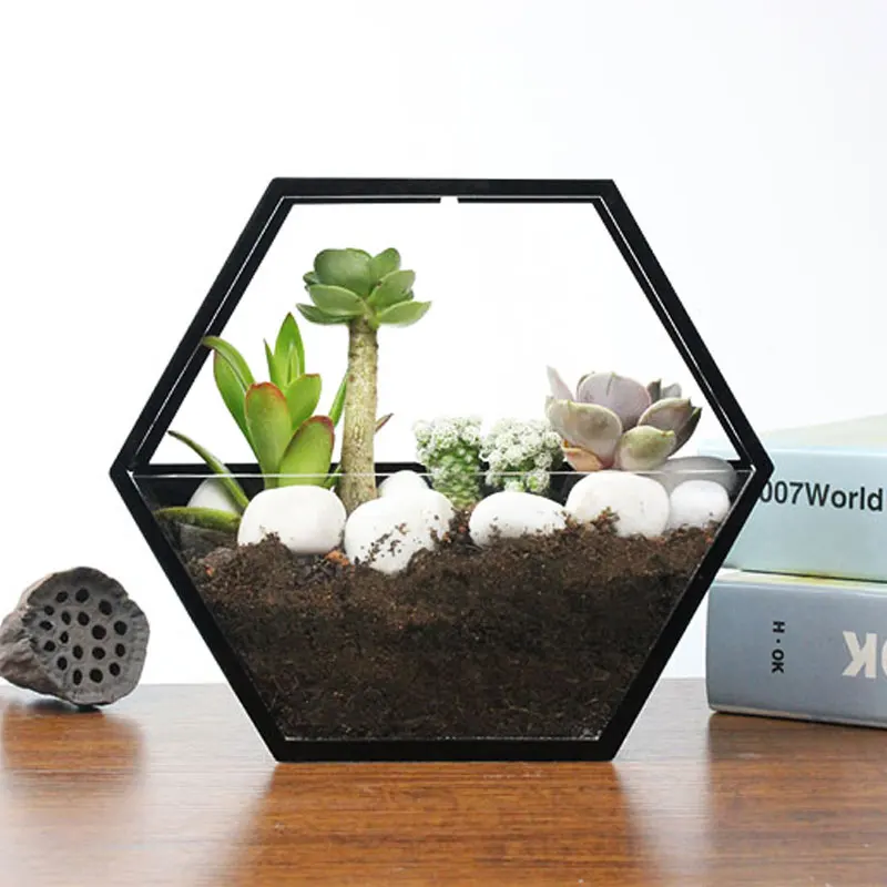 

Brief Hanging Vase Solid Color Acrylic Wall Vases Chlorophytum Flower Holder Scindapsus Hydroponics Plant Holder for Home Decor