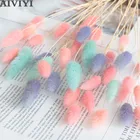 Цветы сухие из натурального кроличьего хвоста, 20 шт.лот, праздничное украшение для вечеринки, разноцветные свадебные украшения, букет