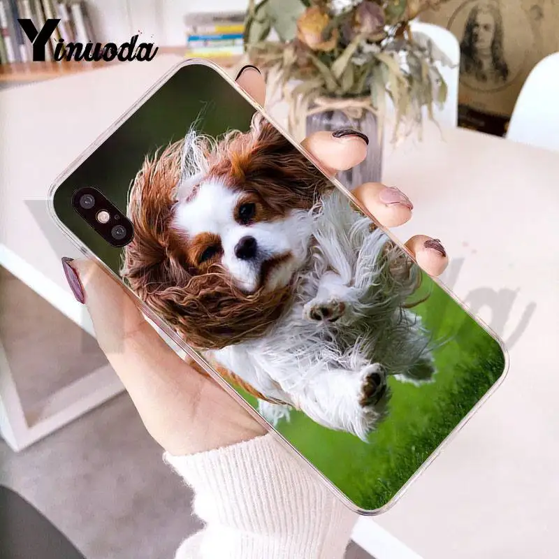 Прозрачный чехол Yinuoda для iphone 7 6 X iPhone 8 6S Plus 10 5 5S SE 5C XS XR|Бамперы| |