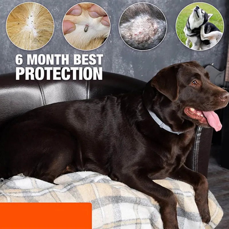

38cm Dogs Cats Safe Natural Essential Oil Collars Pet Mosquito Control Flea Treatment Prevention Mosquito Repellent High Quality