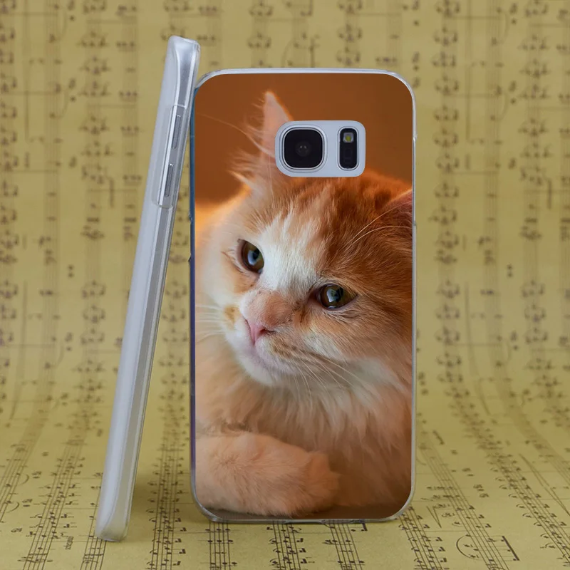 DREAM FOX B2808 Orange Fluffy Cat Transparent Hard PC Case Cover For Samsung Galaxy S 4 5 6 7 8 Mini Edge Plus Note 3 |