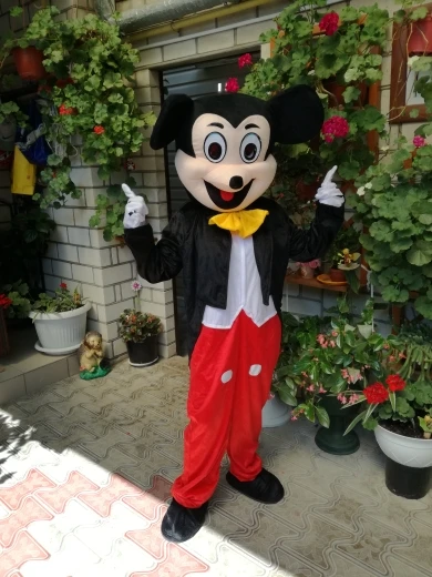 Бесплатная доставка от Cosplay Stro at mickey Minnie Maskotki Kostium день рождения персонажа