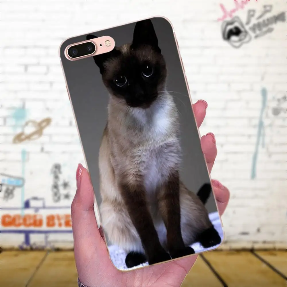 Синяя точка традиционный Сиамский кот для Huawei P7 Honor 4C 5A 5C 5X 6 6C 6A 6X 7 7X 8 9 V8 V10 Y3II Y5II Y6II