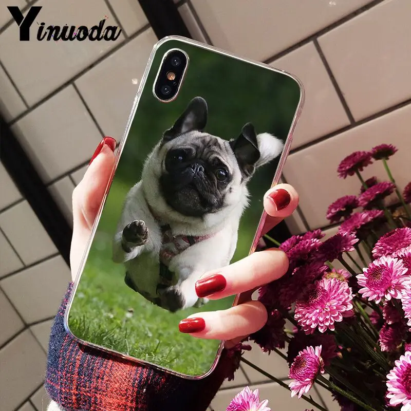 11pro MAX милый мопса на заказ фото мягкий чехол для телефона Apple iPhone 8 7 6 6S Plus X XS 5 5S SE XR |
