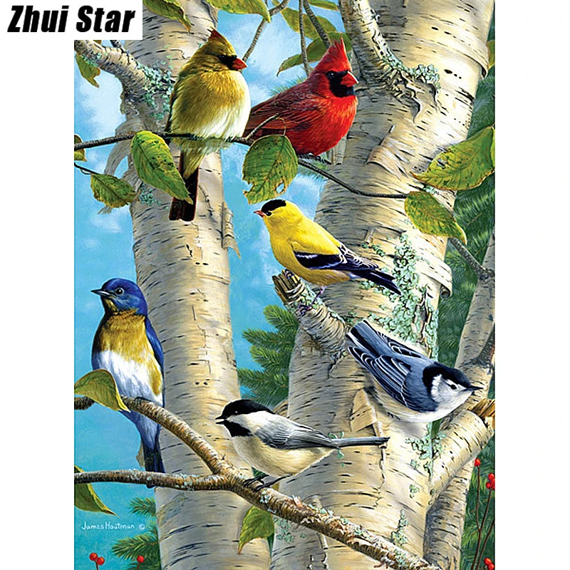 Хит 5D алмазная живопись сделай сам вышивка Цветная птица полноразмерная