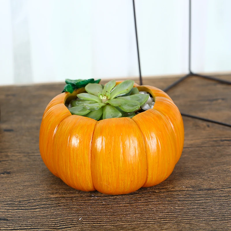 Творческой личности простой тыквы Форма мясистые растения цветочный горшок