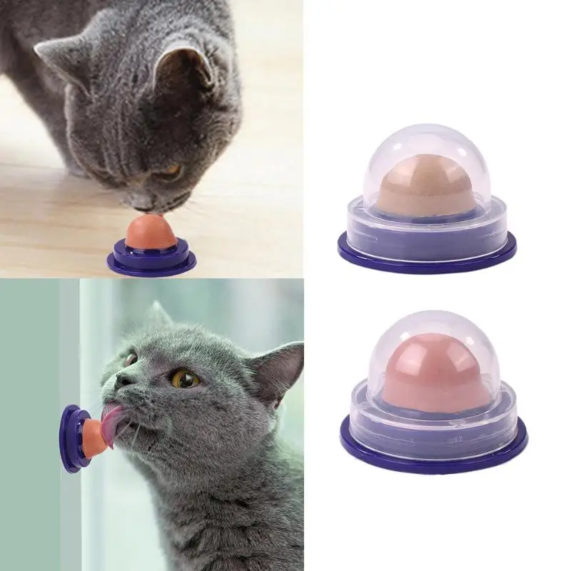 Кошка закуски кошачья мята сахара кошки чулки ярких питание энергией зеленая