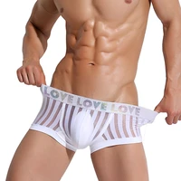 male underwear underpants gay boxer ropa interior hombre transparent cueca masculina boxer para hombre bielizna mens boxers