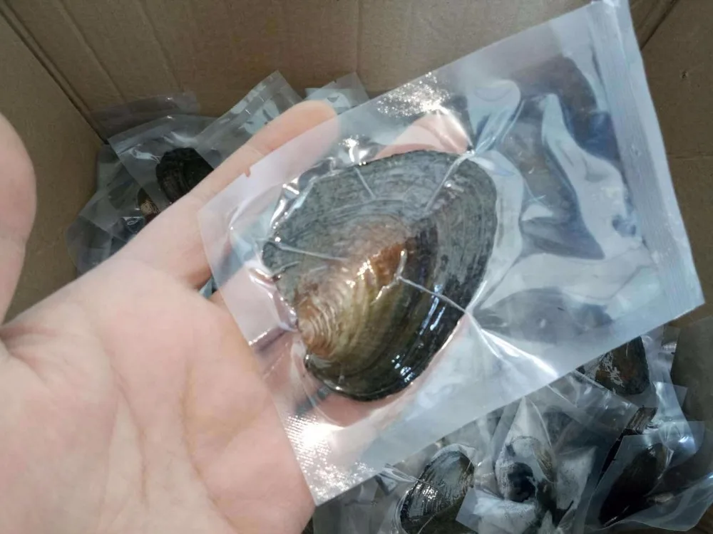 Бесплатная доставка 2018 Новый DIY 7 8 мм натуральный Лаванде круглый жемчуг